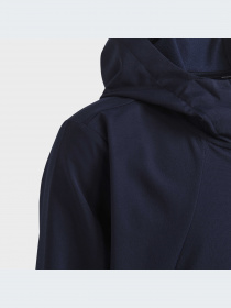 Худи и свитшоты Adidas модель HR6378-KZ Фото