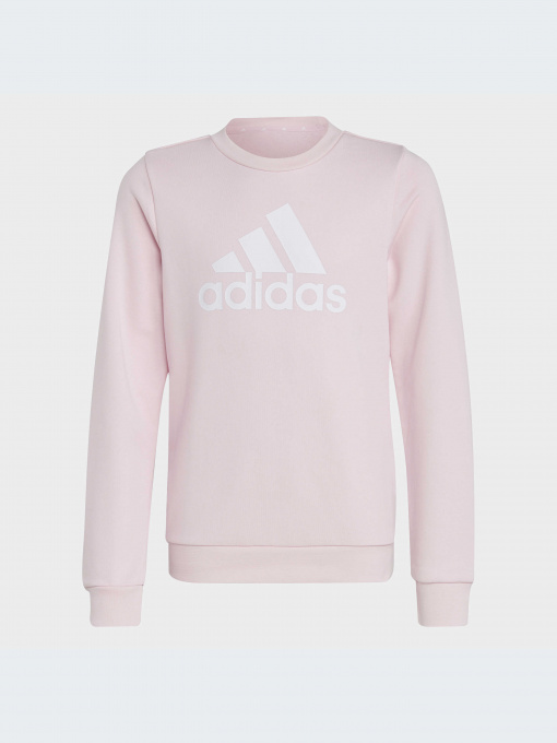 Худи и свитшоты Adidas модель IC6119-KZ Фото