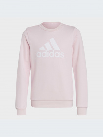 Худи и свитшоты Adidas модель IC6119-KZ Фото