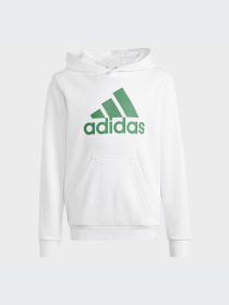 Худи и свитшоты Adidas модель IC6836-KZ Фото