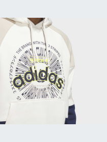 Худи и свитшоты Adidas Graphics модель IL4700-KZ Фото