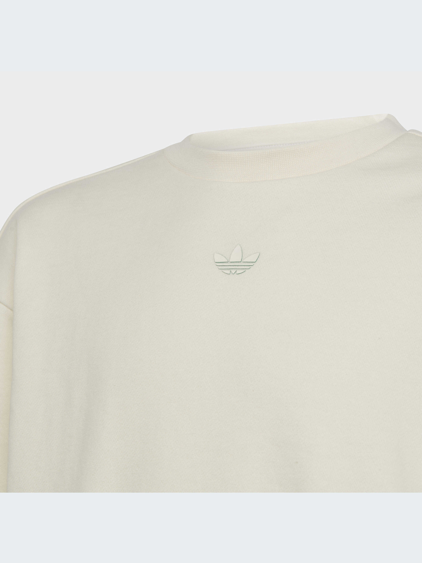 Худи и свитшоты Adidas Graphics модель IB8455-KZ Фото