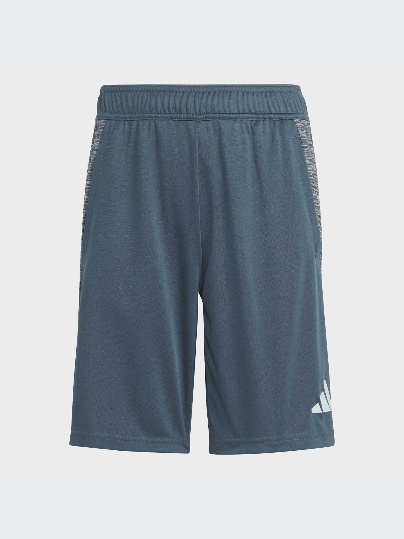 Шорты Adidas модель IJ8976-KZ Фото