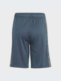 Шорты Adidas модель IJ8976-KZ Фото