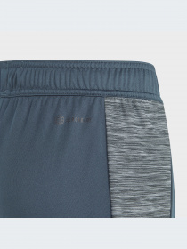 Шорты Adidas модель IJ8976-KZ Фото