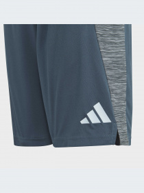 Шорты Adidas модель IJ8976-KZ Фото