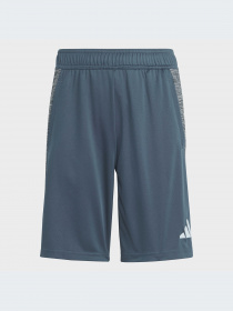 Шорты Adidas модель IJ8976-KZ Фото