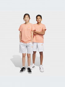 Шорты Adidas модель IC3328-KZ Фото