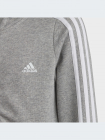 Худи и свитшоты Adidas модель IC3635-KZ Фото