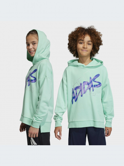 Худи и свитшоты Adidas модель HR5825-KZ Фото