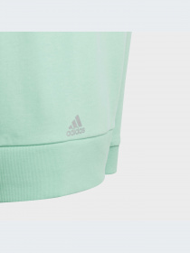 Худи и свитшоты Adidas модель HR5825-KZ Фото