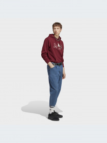 Худи и свитшоты Adidas модель IC8383-KZ Фото