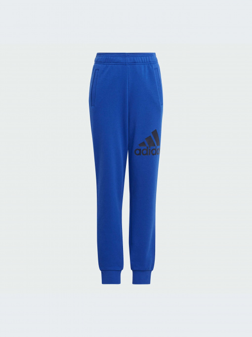 Брюки Adidas модель IJ6301-KZ Фото