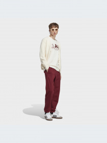 Брюки Adidas модель IC8398-KZ Фото