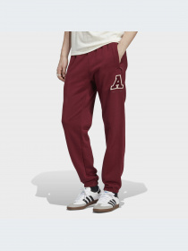 Брюки Adidas модель IC8398-KZ Фото