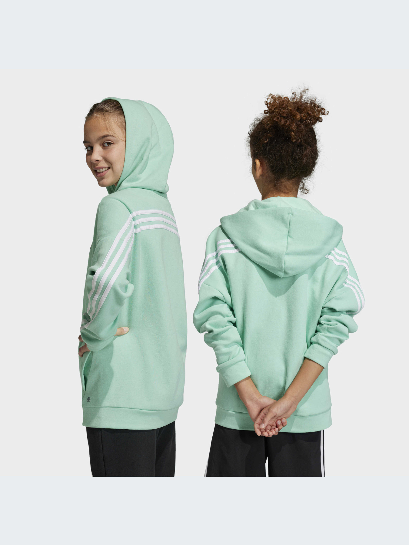 Худи и свитшоты Adidas Icons модель HR6319-KZ Фото