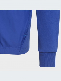 Худи и свитшоты Adidas модель HR6277-KZ Фото