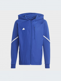 Худи и свитшоты Adidas модель HR6277-KZ Фото