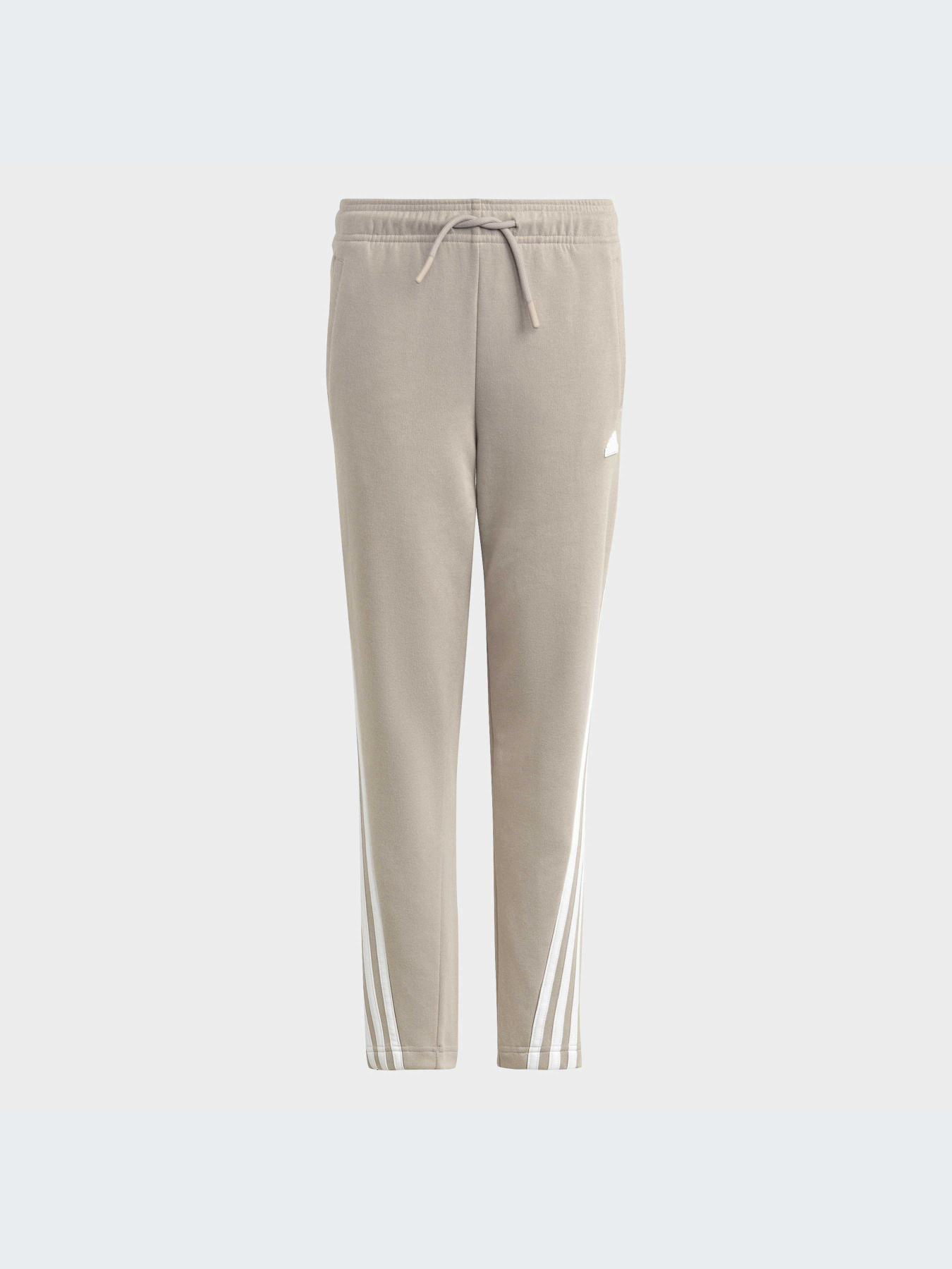 Брюки Adidas модель HR6314-KZ Фото