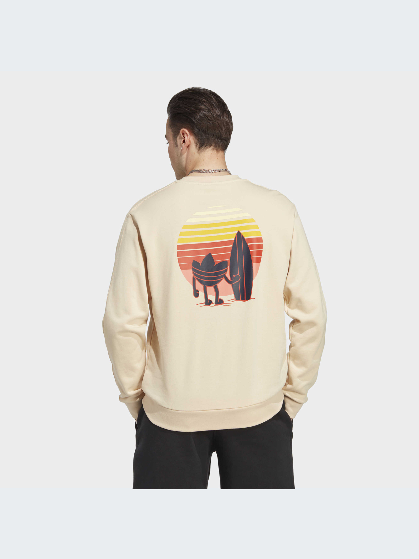 Худи и свитшоты Adidas Graphics модель IC8862-KZ Фото