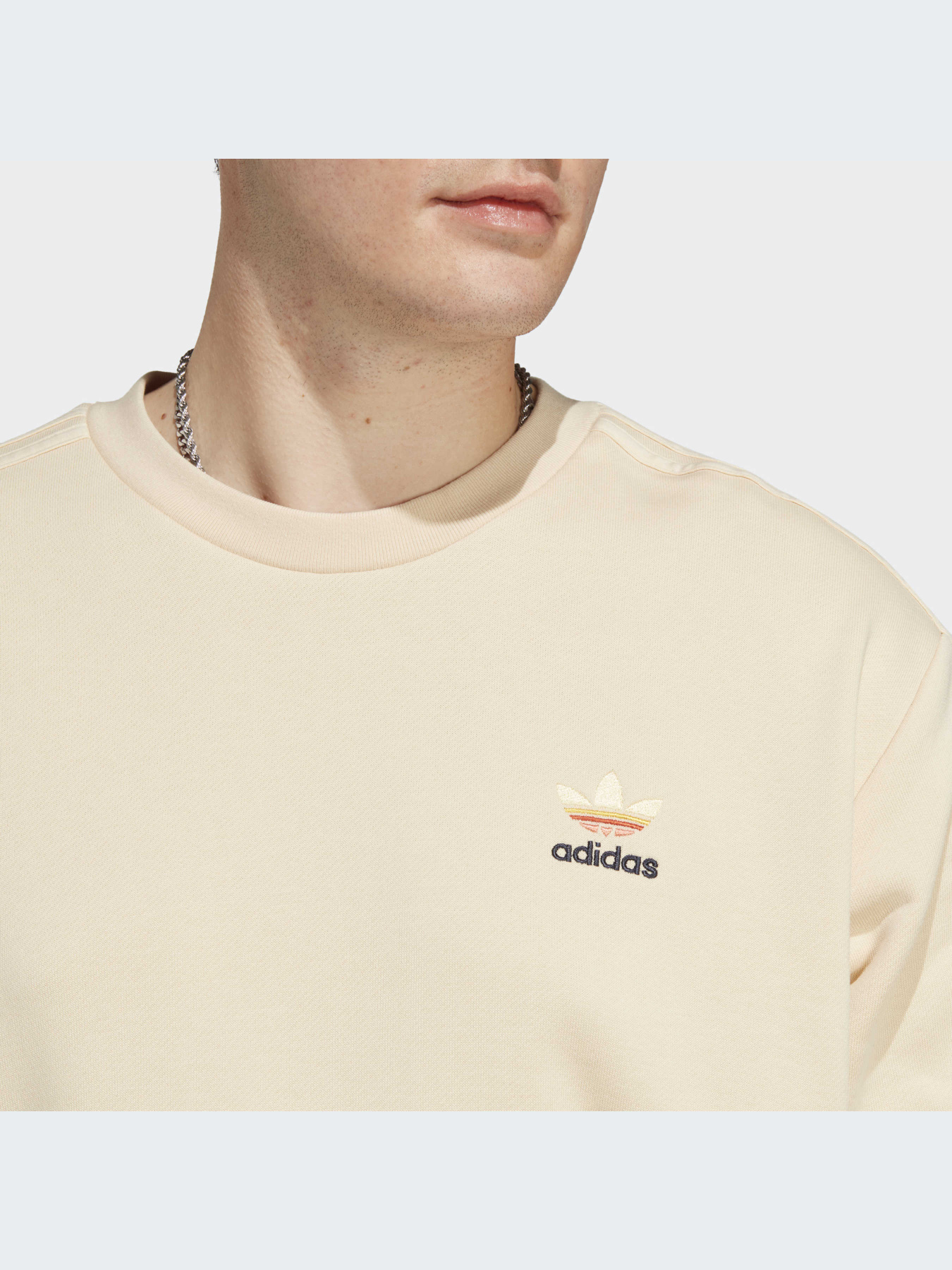 Худи и свитшоты Adidas Graphics модель IC8862-KZ Фото