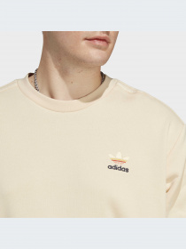 Худи и свитшоты Adidas Graphics модель IC8862-KZ Фото
