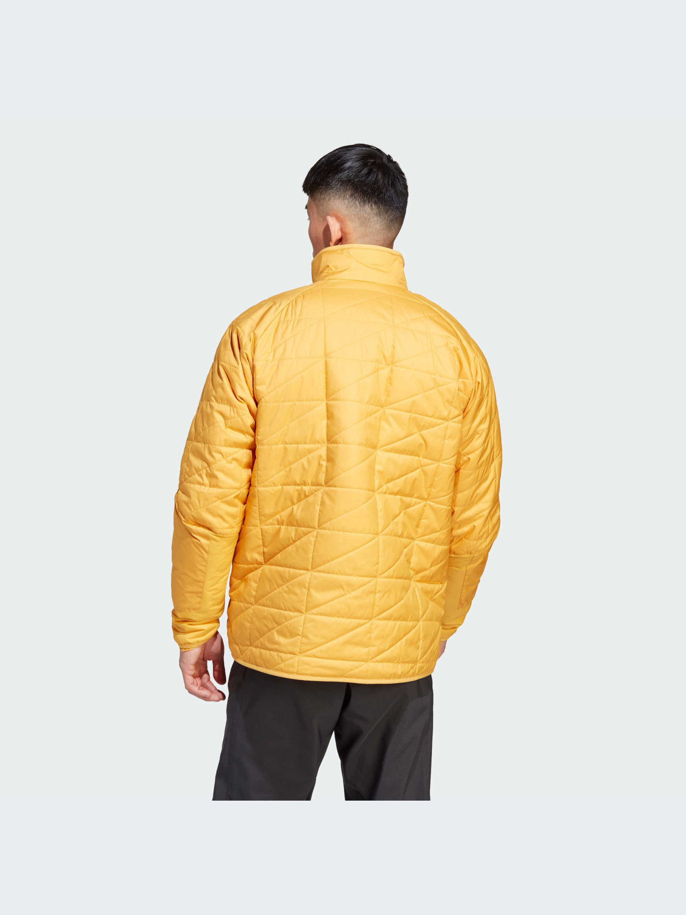 Куртки и дубленки Adidas модель IB1093-KZ Фото