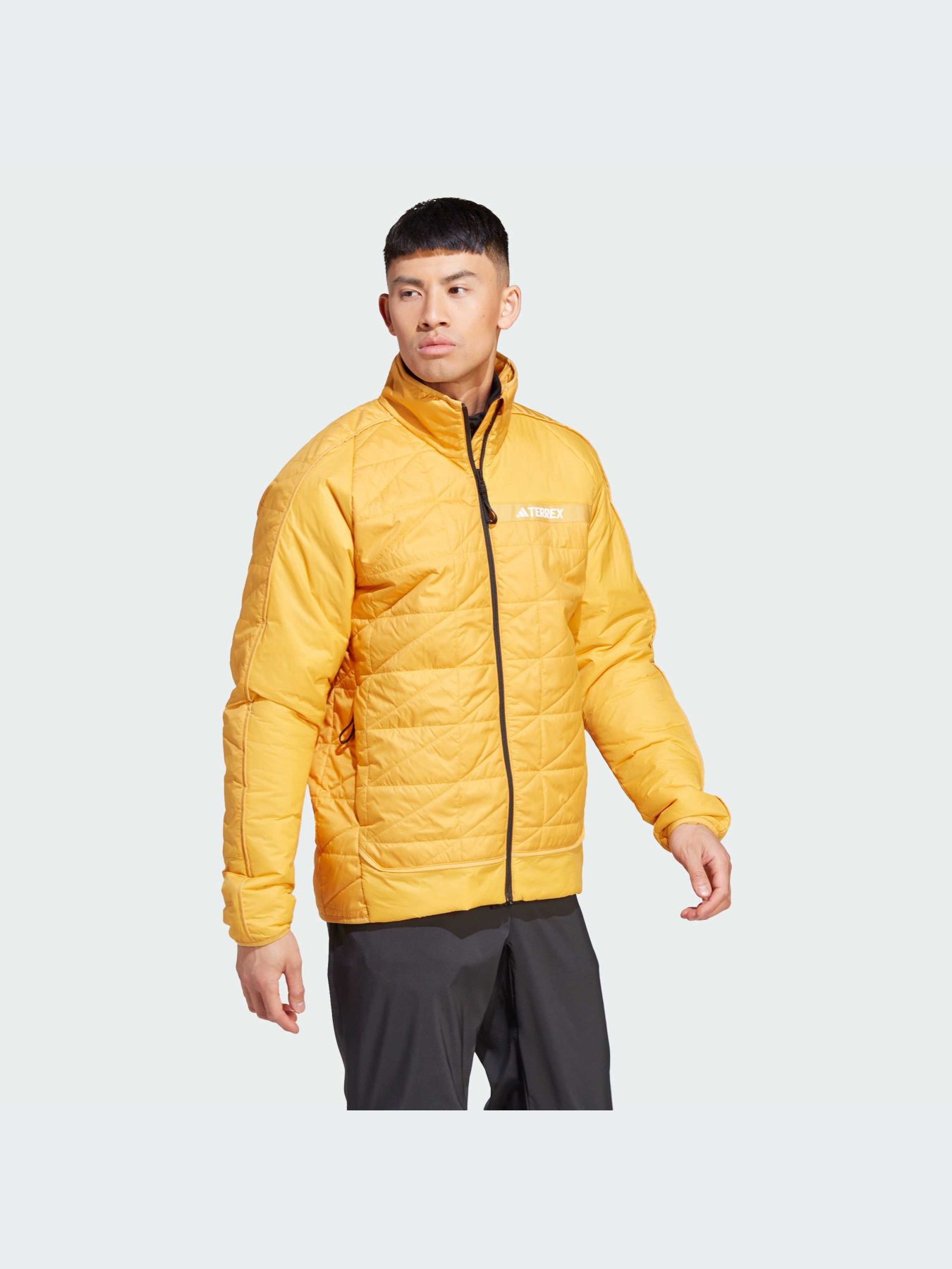Куртки и дубленки Adidas модель IB1093-KZ Фото