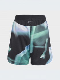 Шорты Adidas модель IA4582-KZ Фото