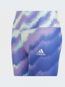 Брюки Adidas модель HR5813-KZ Фото
