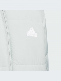 Куртки и дубленки Adidas модель IK7196-KZ Фото
