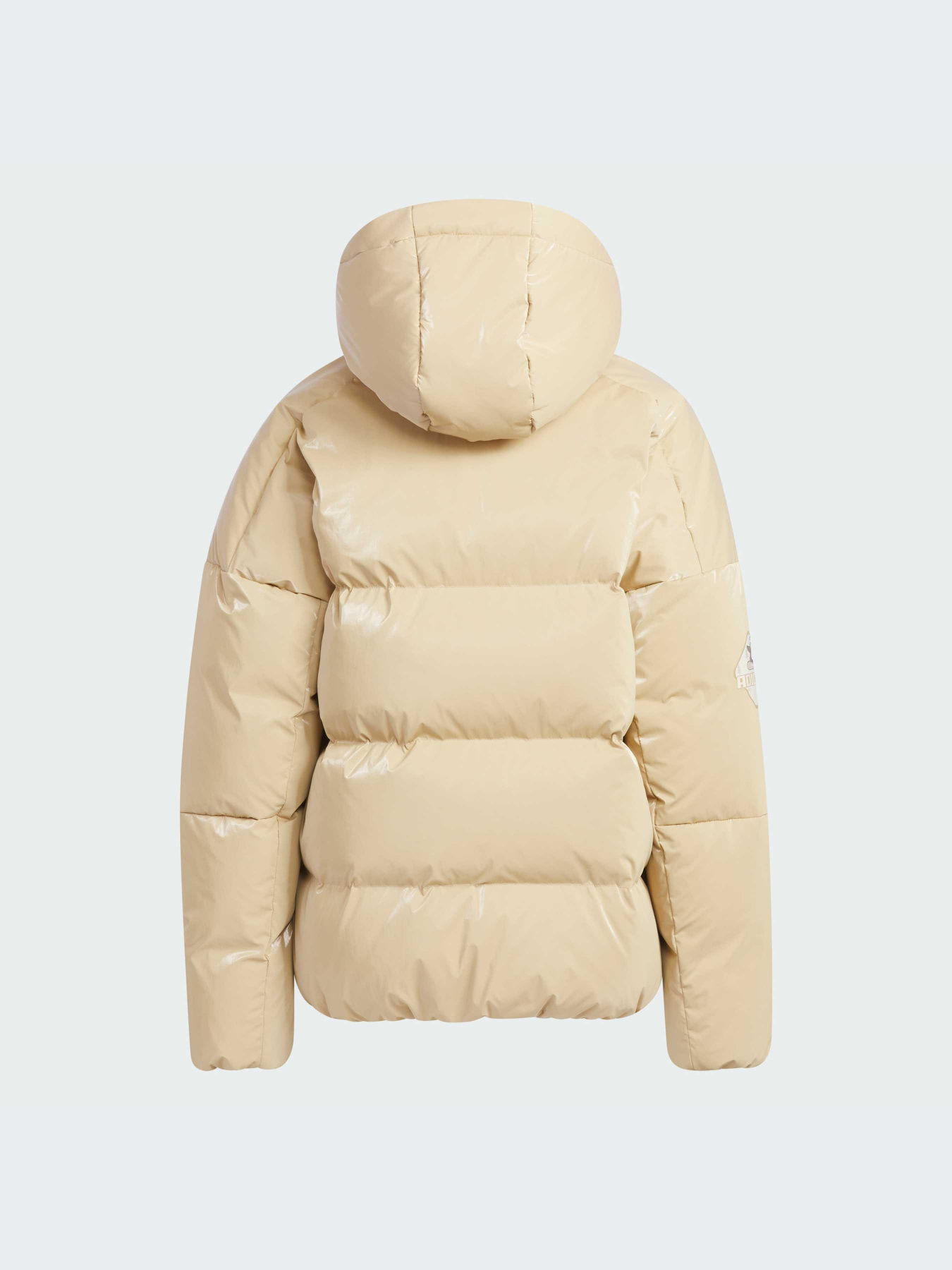 Куртки и дубленки Adidas модель IN5239-KZ Фото