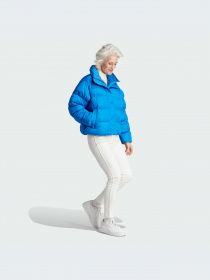 Куртки и дубленки Adidas модель IJ8234-KZ Фото