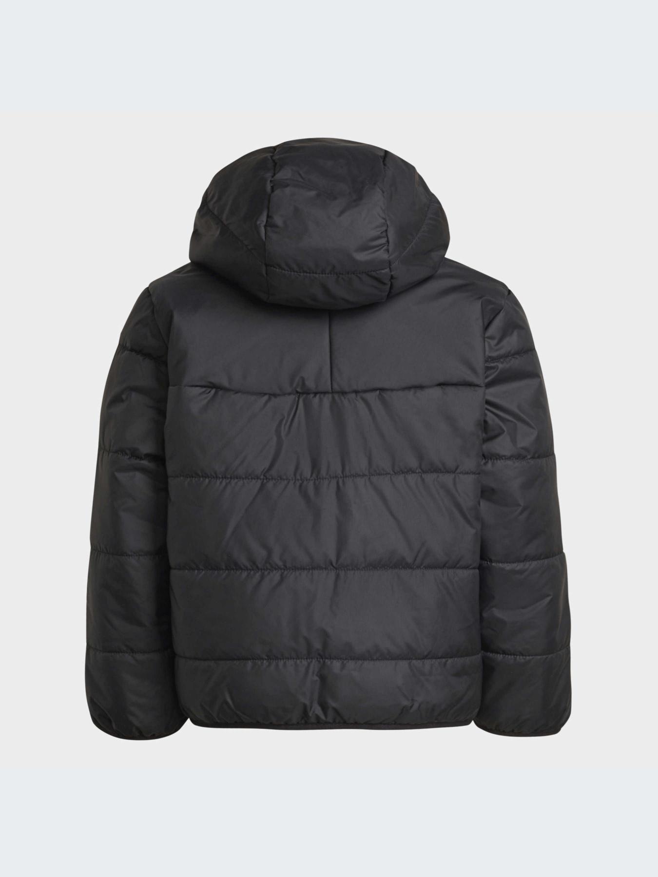 Куртки и дубленки Adidas Adicolor модель HK2960-KZ Фото