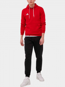 Худи и свитшоты Adidas модель H57514 Фото