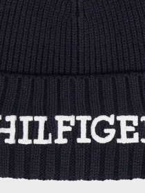 Шапки и кепки Tommy Hilfiger модель AM0AM11737-DW6 Фото