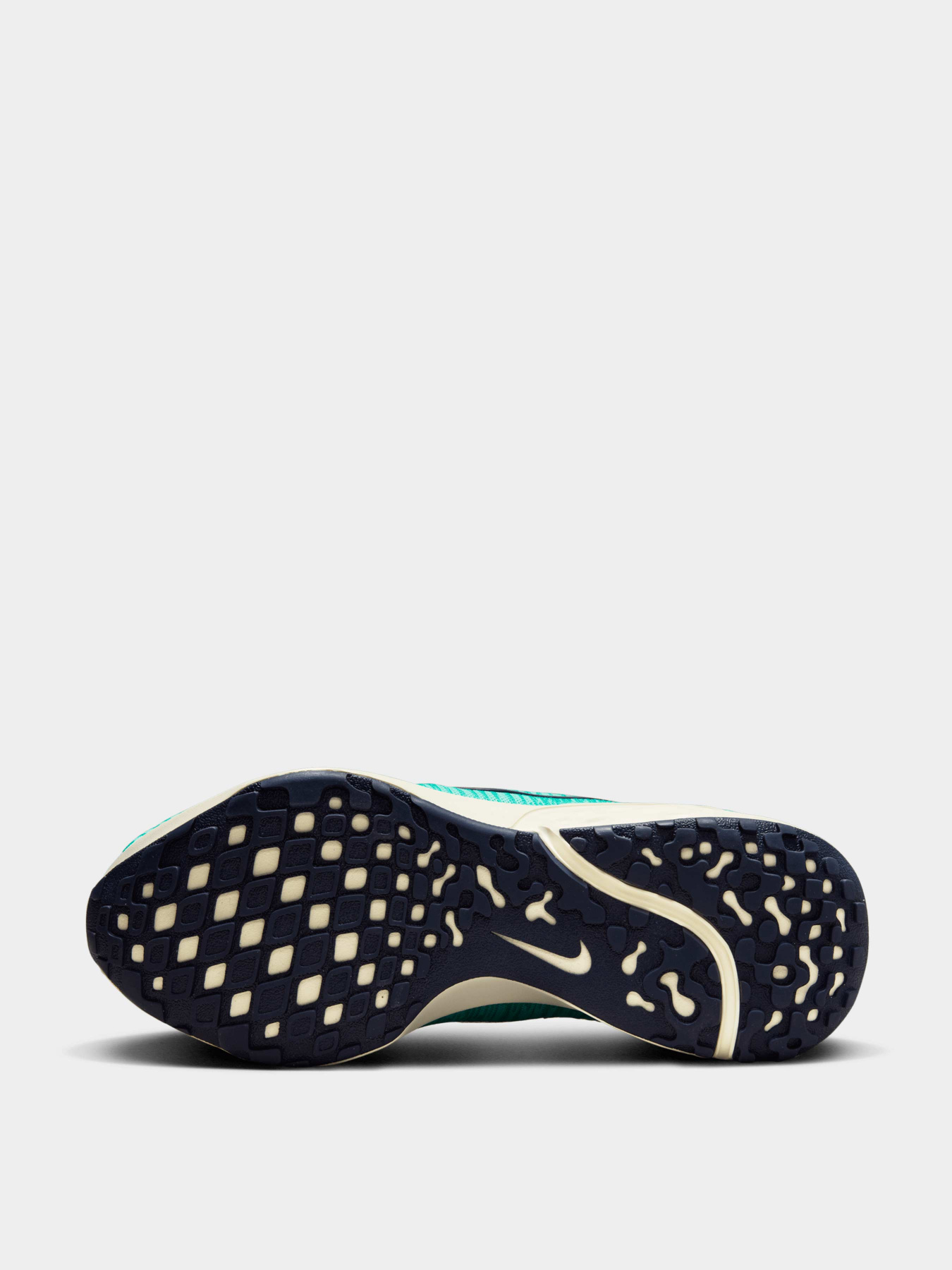 Кроссовки NIKE модель DR2682-300 Фото