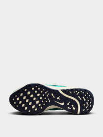 Кроссовки NIKE модель DR2682-300 Фото
