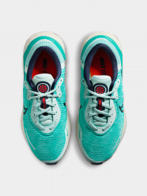 Кроссовки NIKE модель DR2682-300 Фото