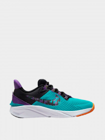 Кроссовки NIKE модель FJ1805-300 Фото