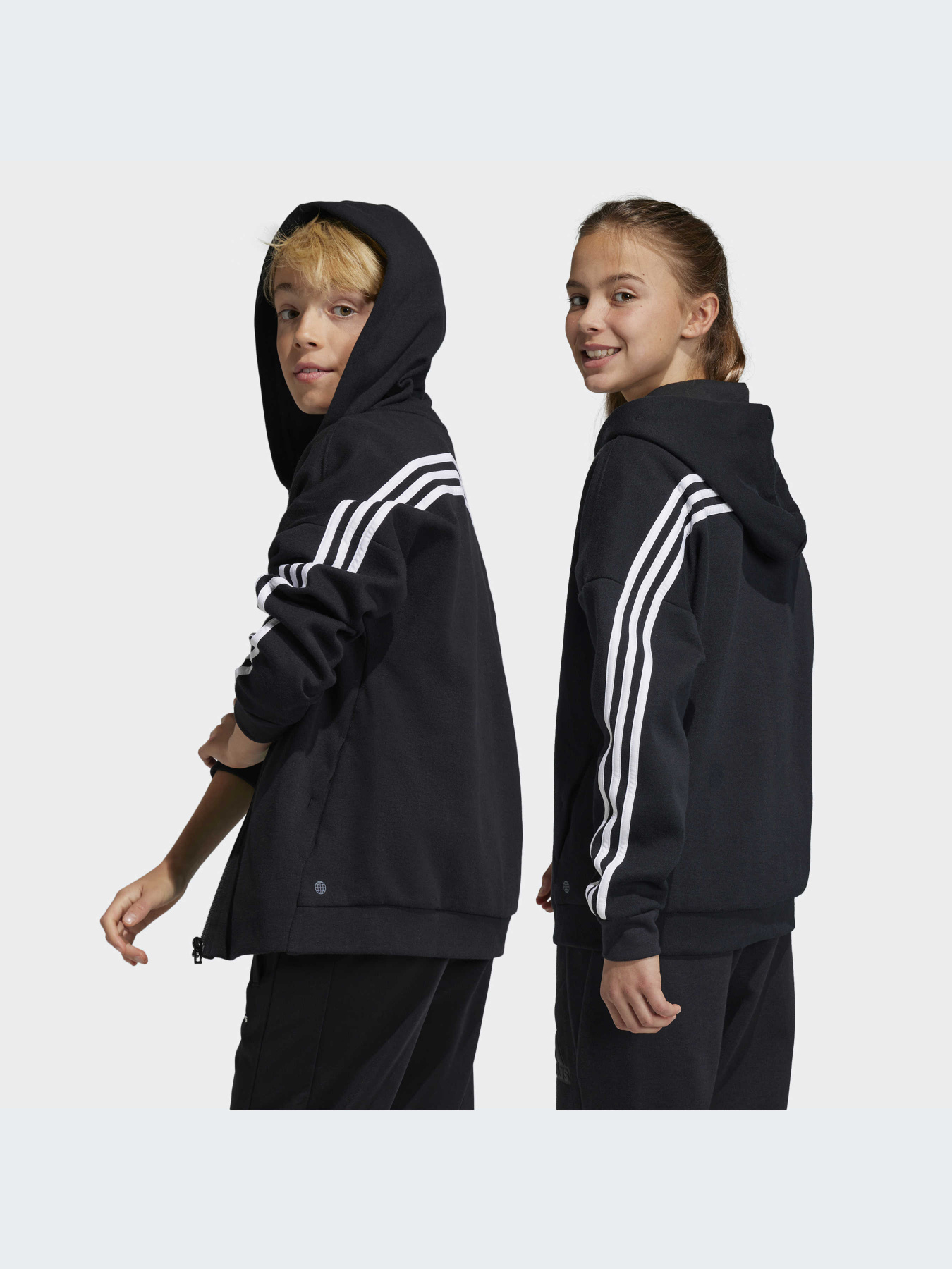 Худи и свитшоты Adidas Icons модель HR6317-KZ Фото