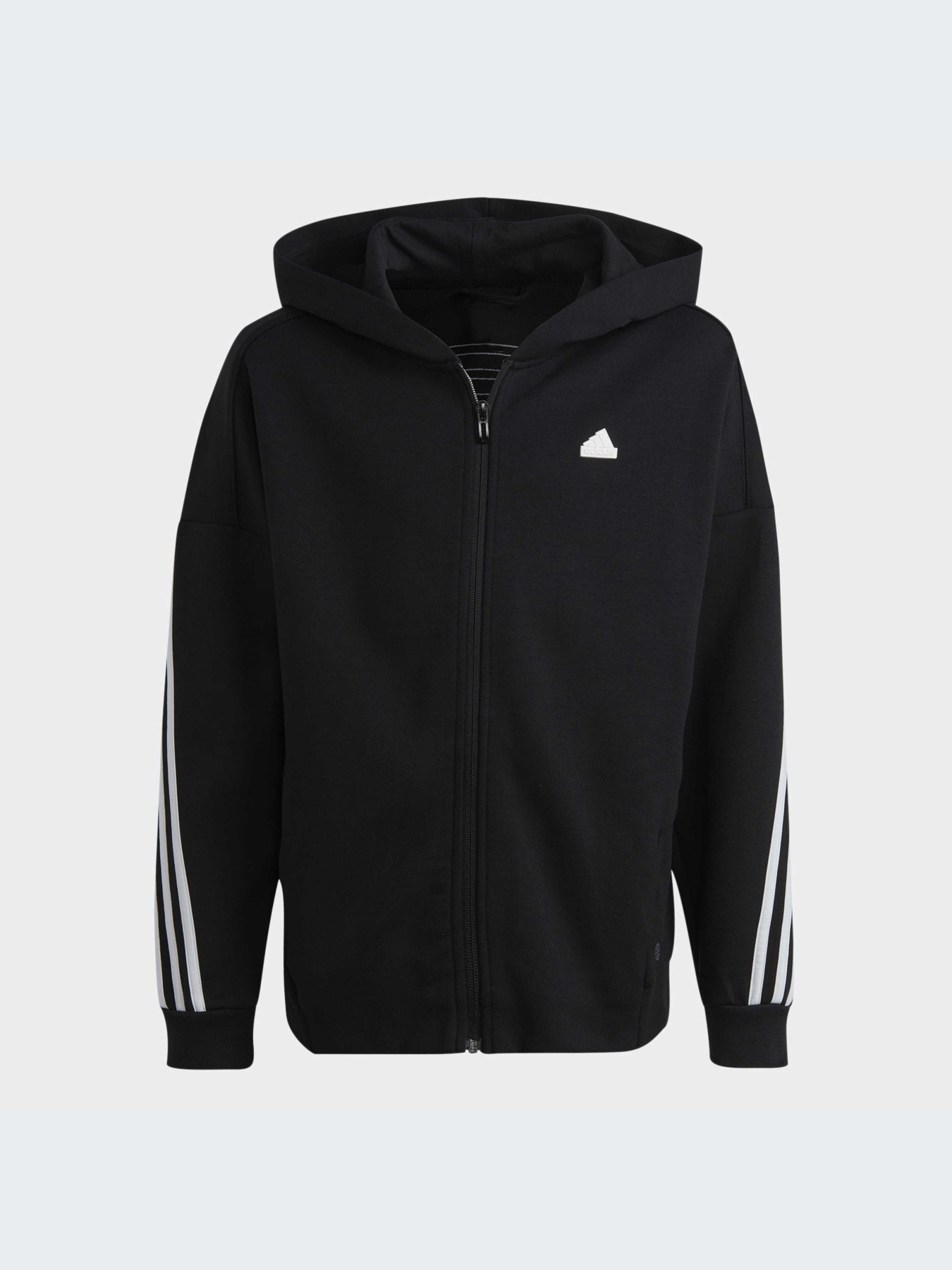 Худи и свитшоты Adidas Icons модель HR6317-KZ Фото
