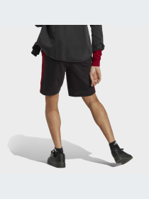 Шорты Adidas модель IC9388-KZ Фото