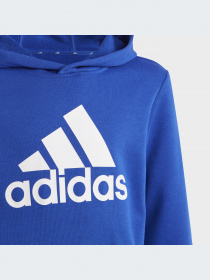 Худи и свитшоты Adidas модель IC6834-KZ Фото