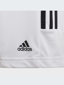 Шорты Adidas модель GT1337-KZ Фото