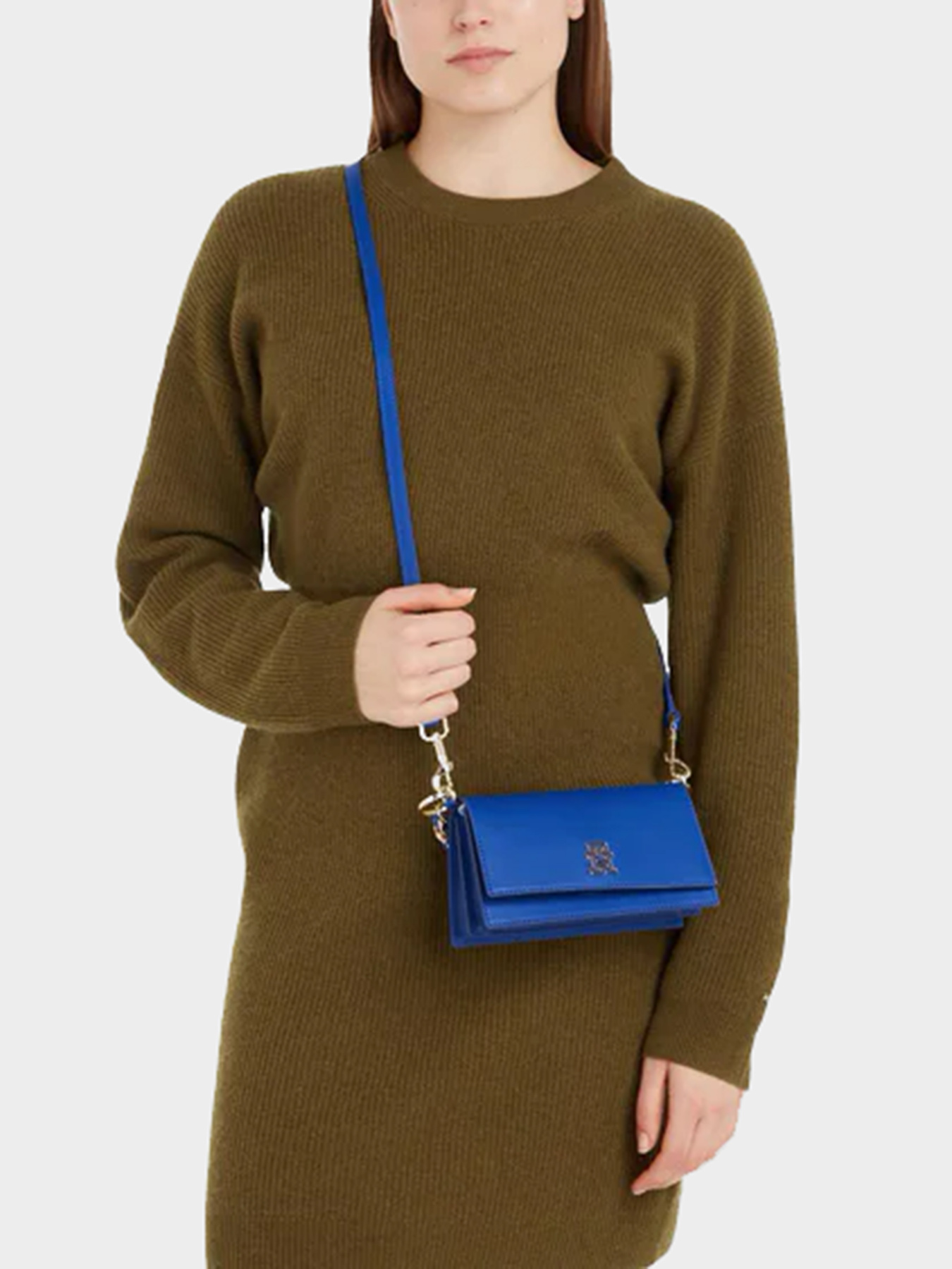 Сумки Tommy Hilfiger модель AW0AW15234-C66 Фото