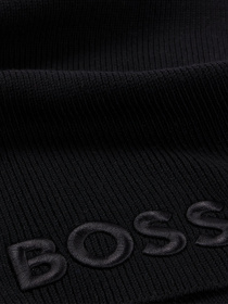 Шарфы и платки Boss модель 50497861-001 Фото