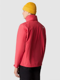 Куртки и дубленки The North Face модель NF00A3X5JIN1 Фото