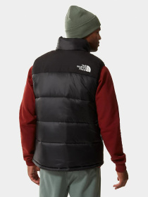 Куртки и дубленки The North Face модель NF0A4QZ4JK31 Фото