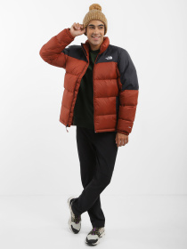 Куртки и дубленки The North Face модель NF0A4M9JWEW1 Фото